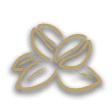 Coffee Bush icon from Timberborn