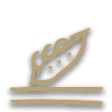 Soybean icon from Timberborn