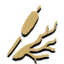 Cattail Root icon from Timberborn