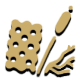 Cattail Crackers icon from Timberborn