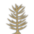 Pine icon from Timberborn