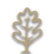 Oak icon from Timberborn