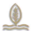 Mangrove icon from Timberborn